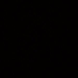 Meet your Posher, Daniela